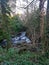 Longtimber Wood is situated alongside the River ErmeÂ  Ivybridge Devon uk